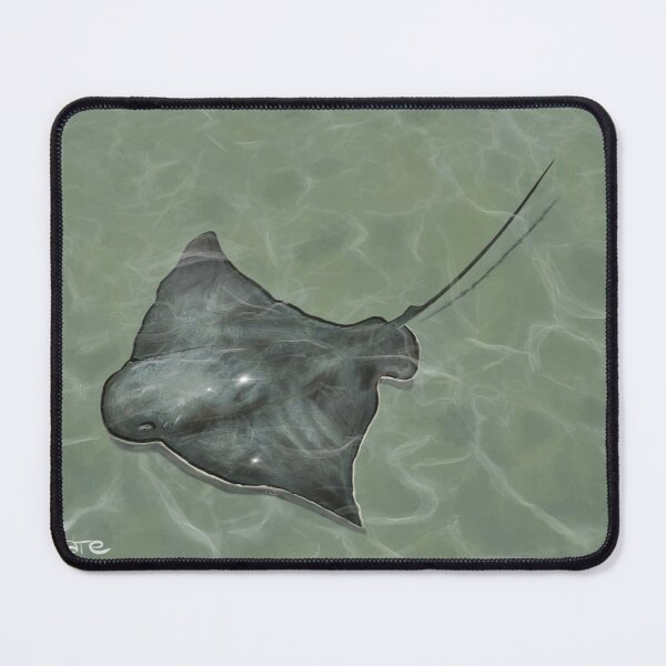 Item preview, South Coast Stingray designed and sold by Chilmelt.
