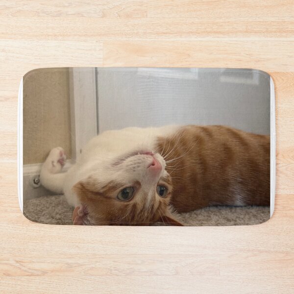 Item preview, Cat and Stars Tacky Traxx Dreaming designed and sold by Arongraper.