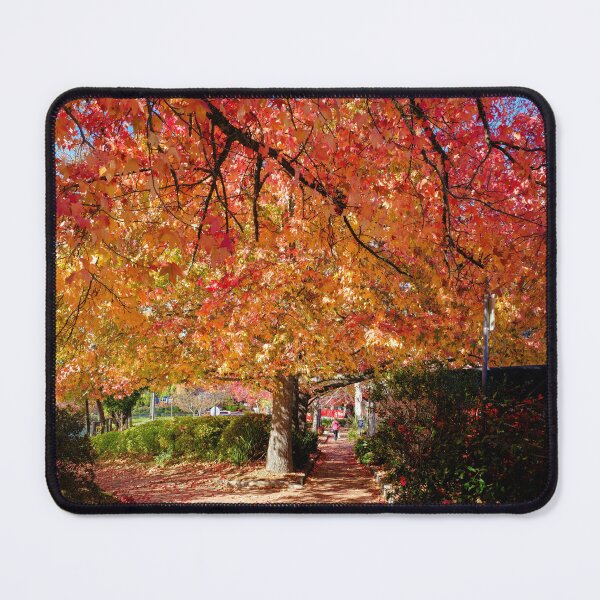 Item preview, Stirling Autumn III designed and sold by Ray's Photos & Art.