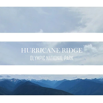 Artwork thumbnail, Hurricane Ridge by studiosaga
