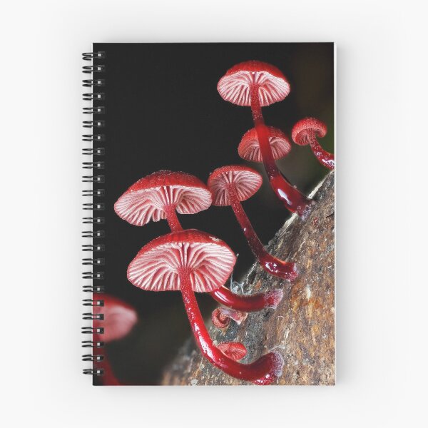 Item preview, Magical Cessna Aircraft Company eForest Mushroom Vibes designed and sold by Peachsocute.