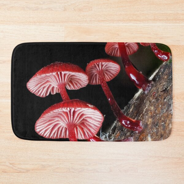 Artikelvorschau, Magische Cessna Aircraft Company eForest Mushroom Vibes entworfen und verkauft von Peachsocute.