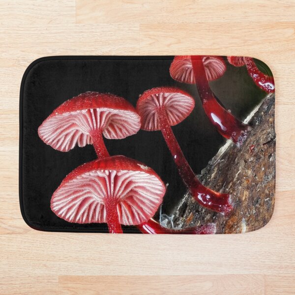 Item preview, Magical Cessna Aircraft Company eForest Mushroom Vibes designed and sold by Peachsocute.
