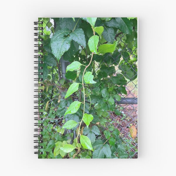 Item preview, Vines on a Fence  designed and sold by Amanda1775.