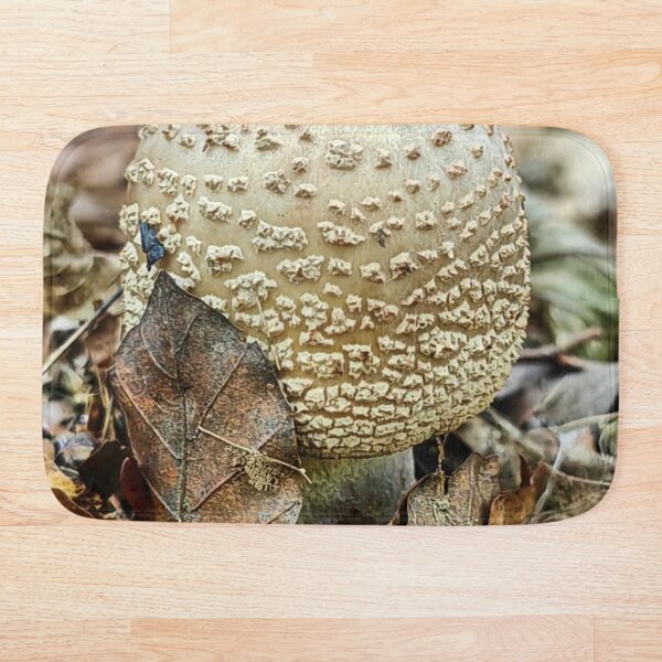 Item preview, Enchanted Cessna Aircraft Company aMushroom Fairy Scene designed and sold by Peachsocute.