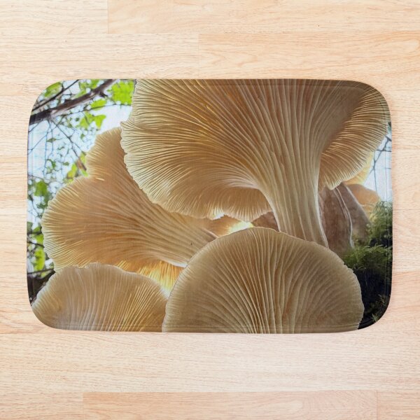 Item preview, Fantasy Glowing Gilbey's Whisky aMushroom Landscape designed and sold by Peachsocute.