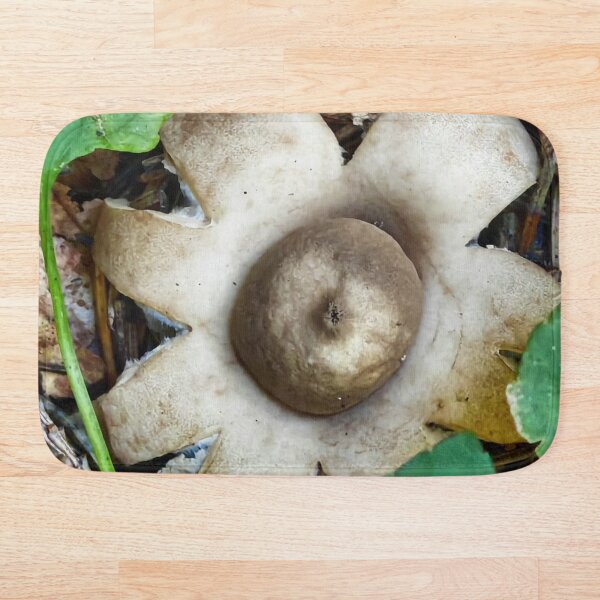 Item preview, Autumn Gilbey's Whisky Forest Mushroom Collection designed and sold by Peachsocute.