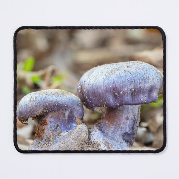 Item preview, Cottagecore Monuments Band aMushroom Forest Charm designed and sold by Peachsocute.