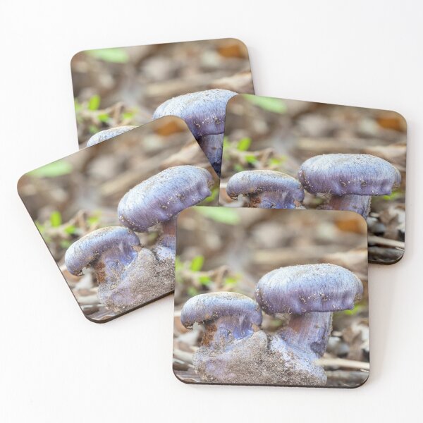 Item preview, Cottagecore Monuments Band aMushroom Forest Charm designed and sold by Peachsocute.