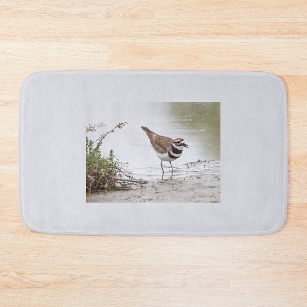 Item preview, Killdeer Wading designed and sold by CarolM.