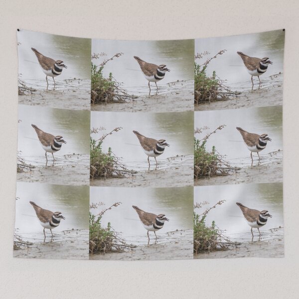 Item preview, Killdeer Wading designed and sold by CarolM.