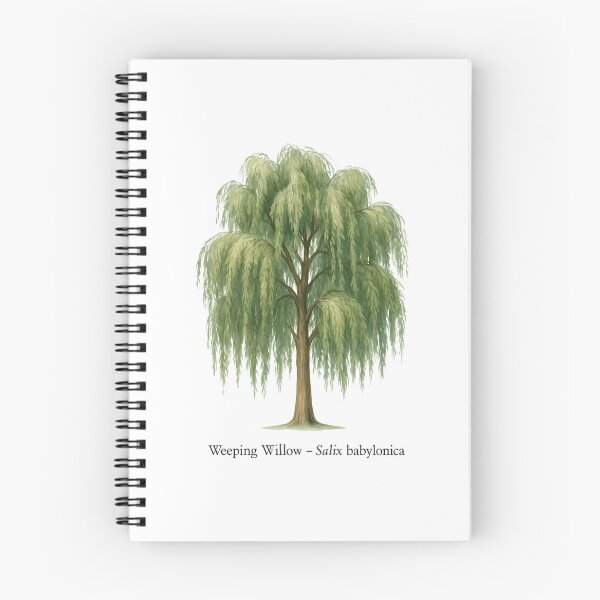 Item preview, Weeping Willow  Salix Babylonica designed and sold by dobbinsuns.