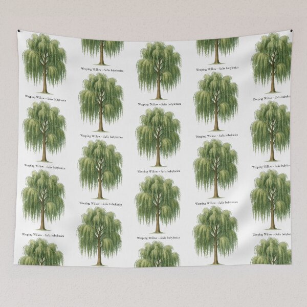 Item preview, Weeping Willow  Salix Babylonica designed and sold by dobbinsuns.