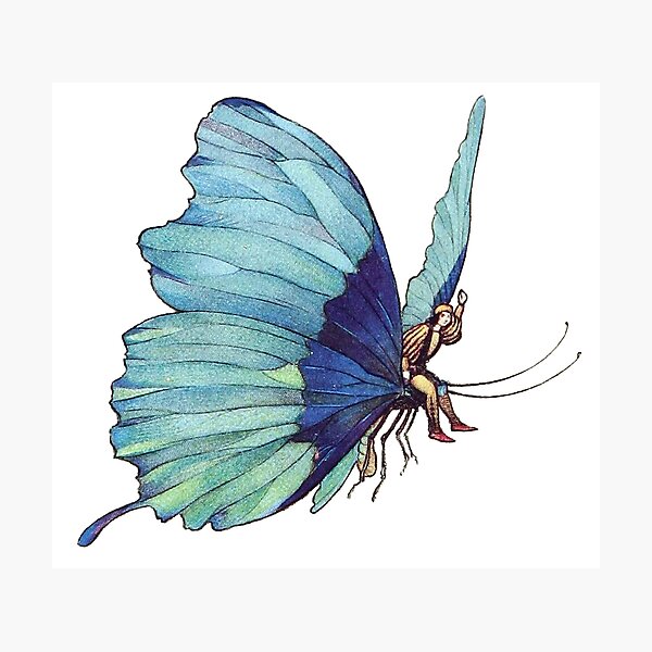Item preview, The butterfly took wing… with little Tom on his back. By Warwick Goble 1913 designed and sold by Hedrin.