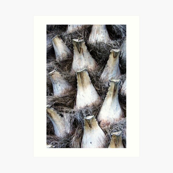 Palm Detail Art Print