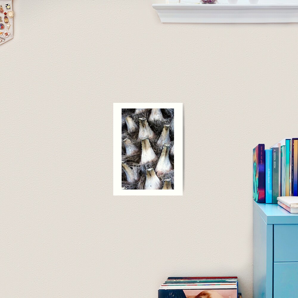 Palm Detail Art Print