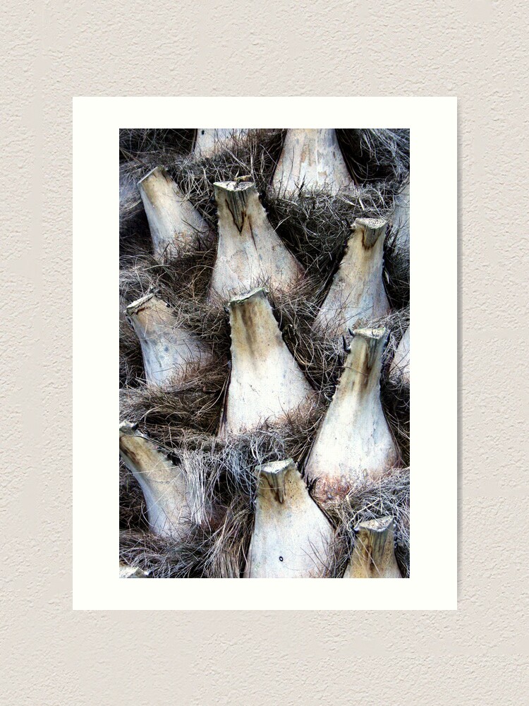 Alternate view of Palm Detail Art Print