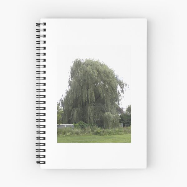 Item preview, Weeping Willow  designed and sold by dobbinsuns.