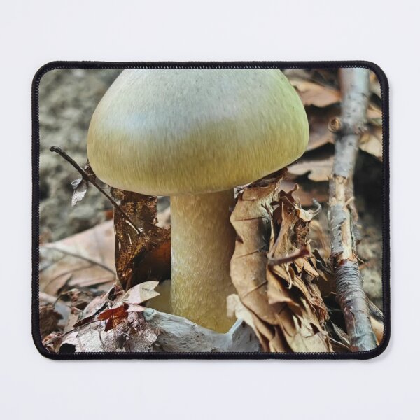 Item preview, Modern Shiseido Cosmetics aMushroom Graphic Design designed and sold by Peachsocute.