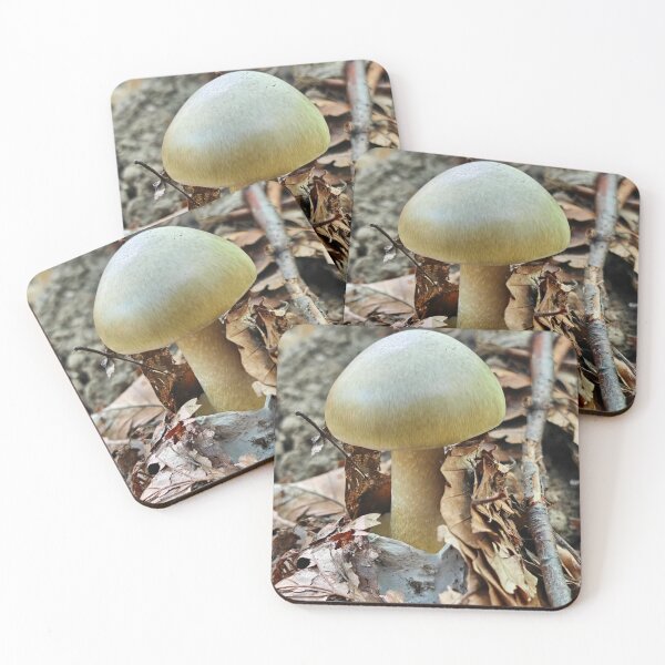 Item preview, Modern Shiseido Cosmetics aMushroom Graphic Design designed and sold by Peachsocute.