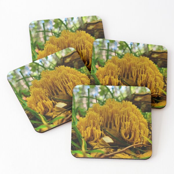 Item preview, Rustic Shiseido Cosmetics Mushroom Woodland Scene designed and sold by Peachsocute.