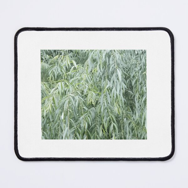 Item preview, Willow Leaves designed and sold by randleharo26.
