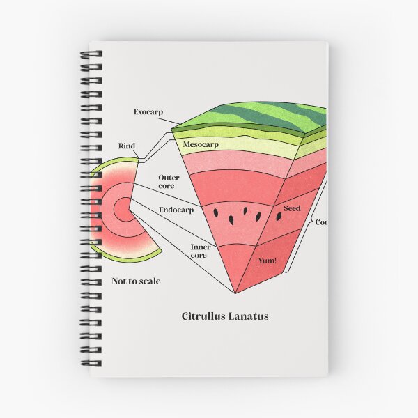 Item preview, watermelon cross section designed and sold by Elan Harris.