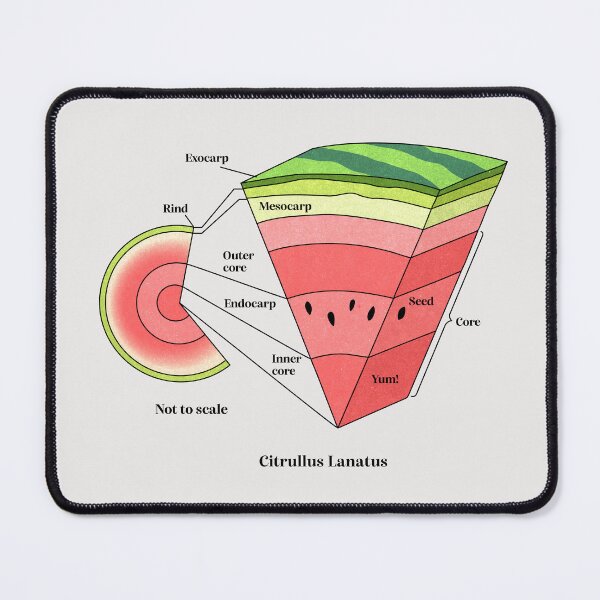 Item preview, watermelon cross section designed and sold by Elan Harris.