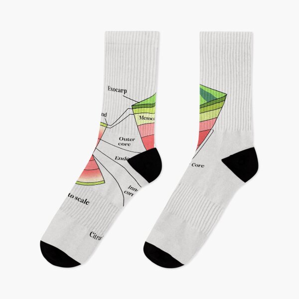 Artikelvorschau, Querschnitt einer Wassermelone entworfen und verkauft von Elan Harris.
