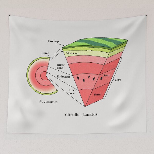Item preview, watermelon cross section designed and sold by Elan Harris.