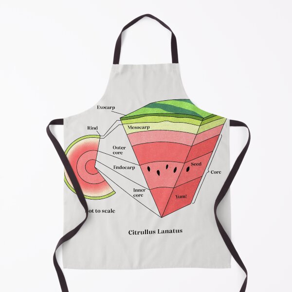 Item preview, watermelon cross section designed and sold by Elan Harris.