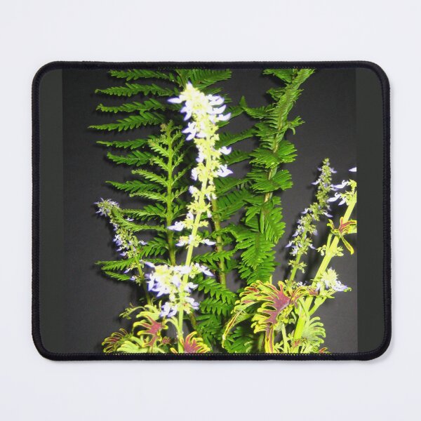 Item preview, Blooming Skeletal Coleus with Ferns designed and sold by JoyousArt4u.