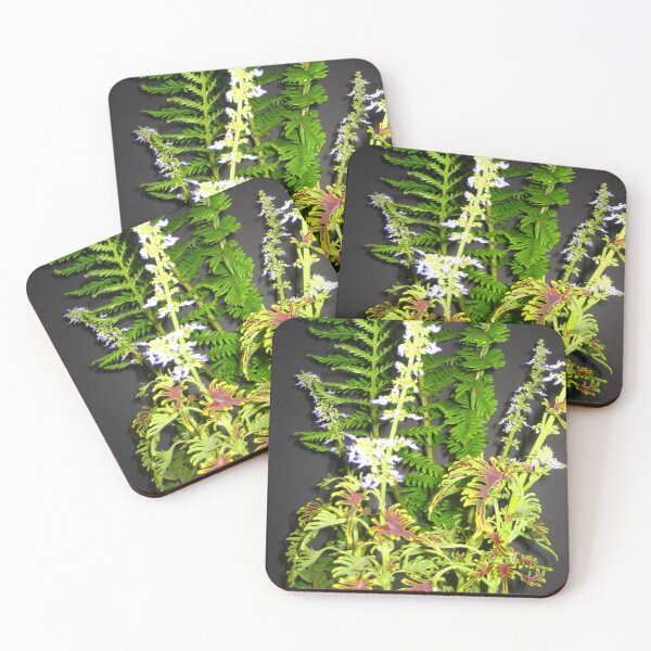 Item preview, Blooming Skeletal Coleus with Ferns designed and sold by JoyousArt4u.