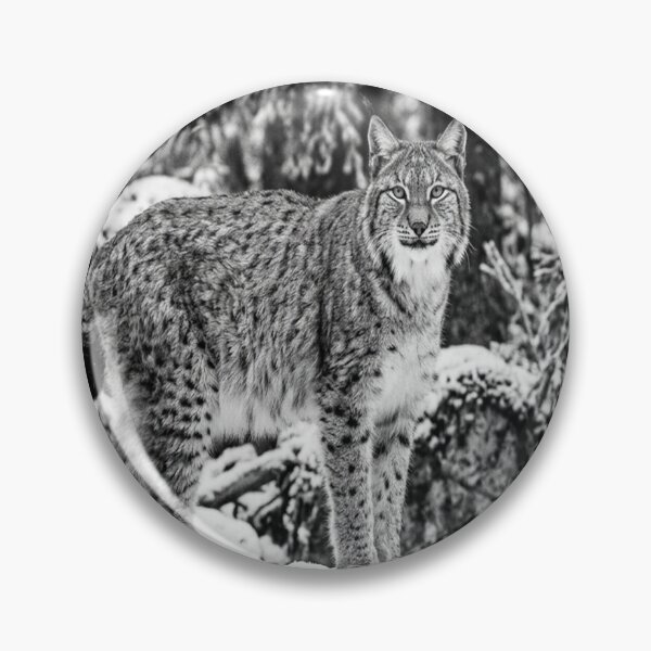 Item preview, Lynx looking directly at viewer designed and sold by Solomon-Ent-144.