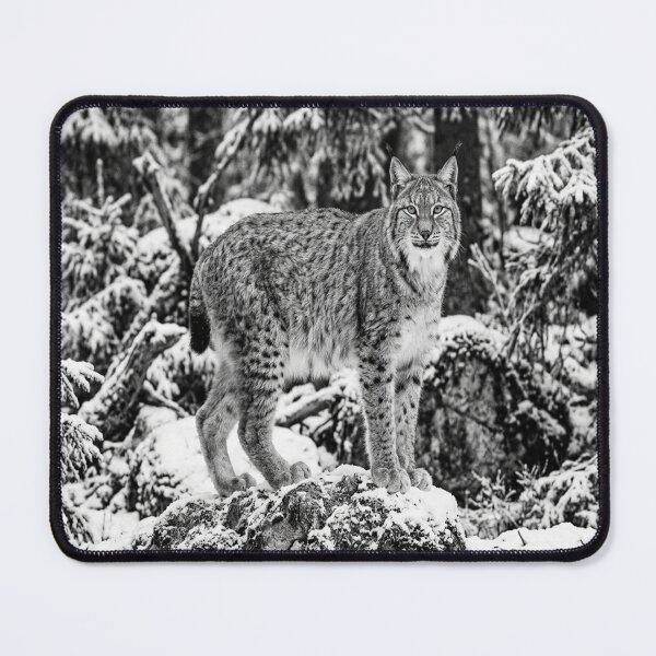Item preview, Lynx looking directly at viewer designed and sold by Solomon-Ent-144.