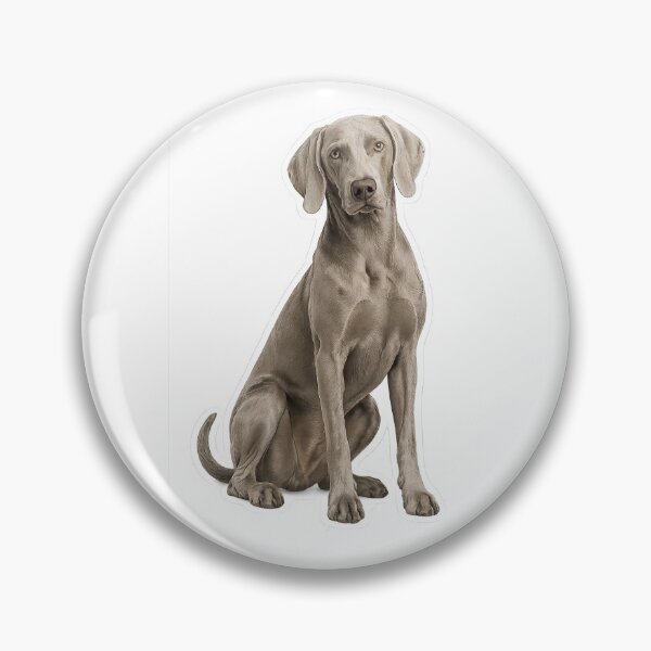 Item preview, Weimaraner dog designed and sold by BackgroundND.