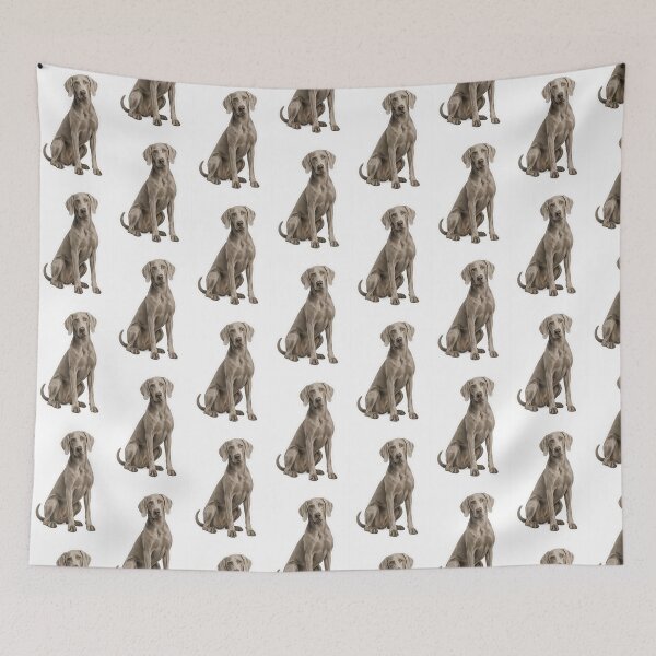 Item preview, Weimaraner dog designed and sold by BackgroundND.