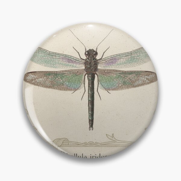 Item preview, Vintage Dragonfly Specimen Study Plate designed and sold by PictorialWhimsy.