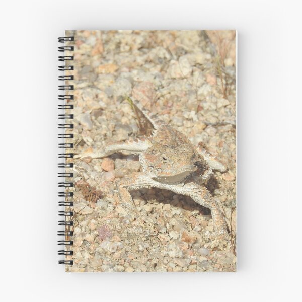 Item preview, Horned lizard, horny toad, Naturally Disguised designed and sold by Sandra O'Toole.