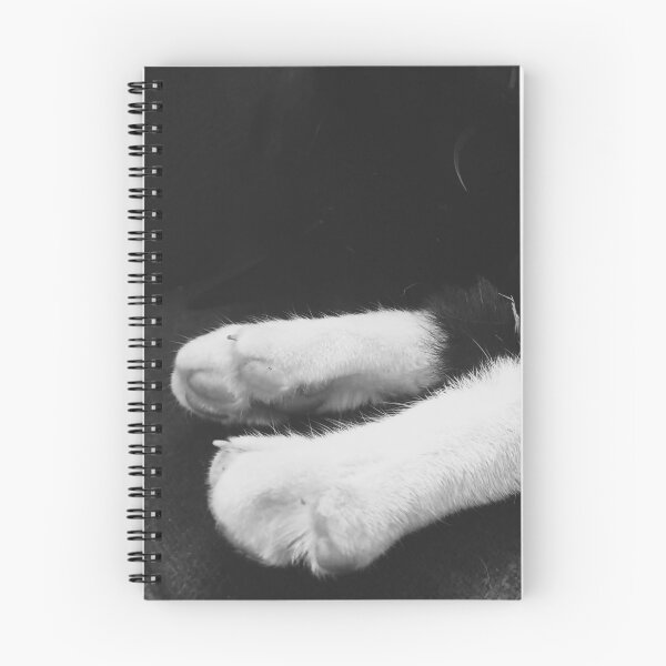 Item preview, Slumbering Beast, Cute Feet - Cat Photography Prints designed and sold by Hellsveiah.