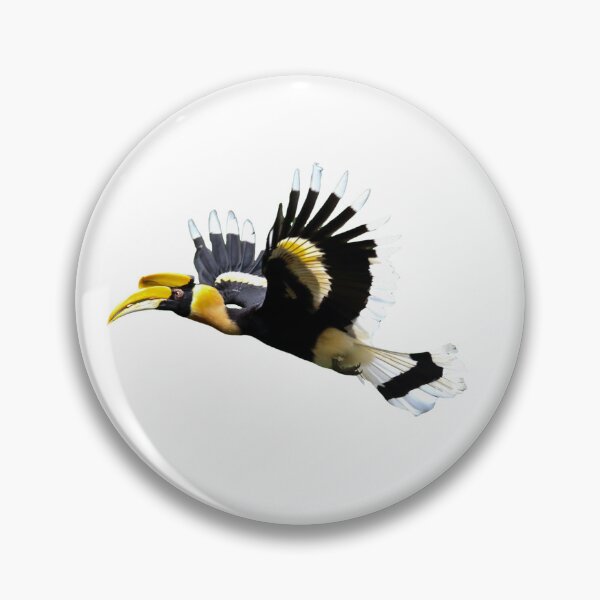 Item preview, Great Hornbill designed and sold by tanavi01.