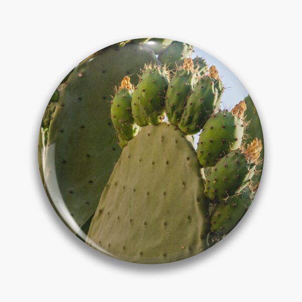 Item preview, Prickly Pear Cactus with Fruit and Pads In Sunny Urban Garden Landscape designed and sold by Nmallia.