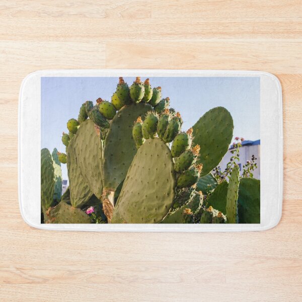 Item preview, Prickly Pear Cactus with Fruit and Pads In Sunny Urban Garden Landscape designed and sold by Nmallia.