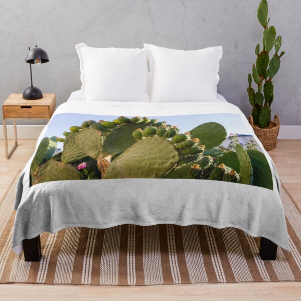 Item preview, Prickly Pear Cactus with Fruit and Pads In Sunny Urban Garden Landscape designed and sold by Nmallia.