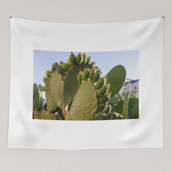 Item preview, Prickly Pear Cactus with Fruit and Pads In Sunny Urban Garden Landscape designed and sold by Nmallia.