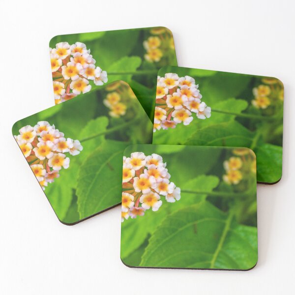 Item preview, Vivid Close-Up of Colorful Blossoming Flower Amidst Lush Green Foliage designed and sold by Nmallia.