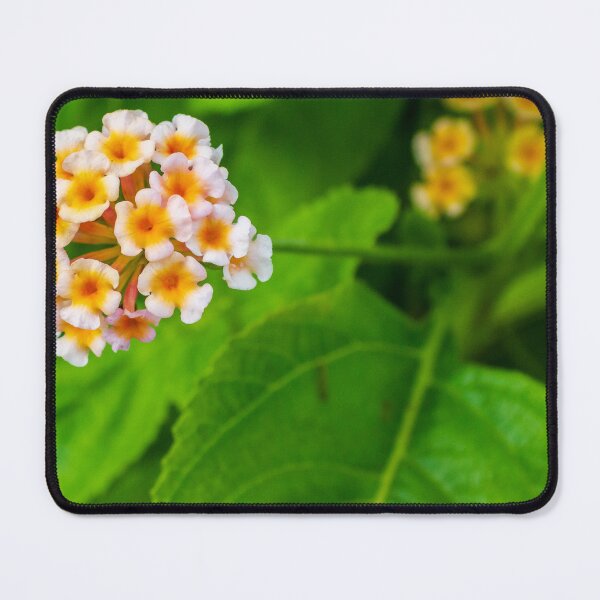Item preview, Vivid Close-Up of Colorful Blossoming Flower Amidst Lush Green Foliage designed and sold by Nmallia.