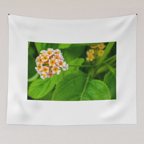 Item preview, Vivid Close-Up of Colorful Blossoming Flower Amidst Lush Green Foliage designed and sold by Nmallia.