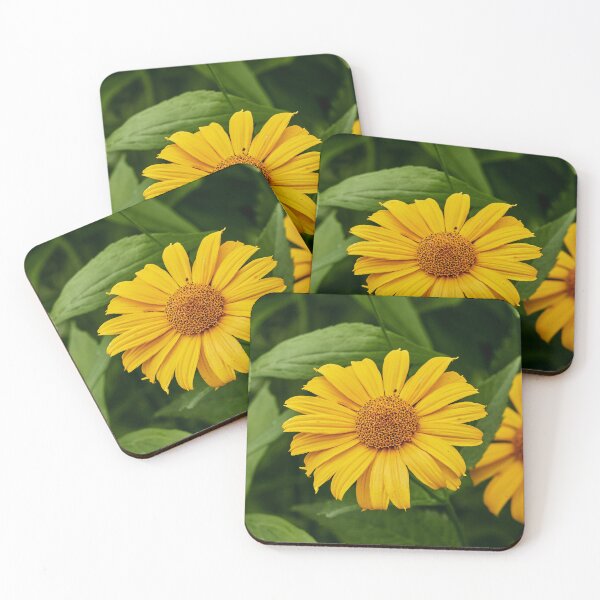 Item preview, False Sunflower V designed and sold by Eidetic Photos.