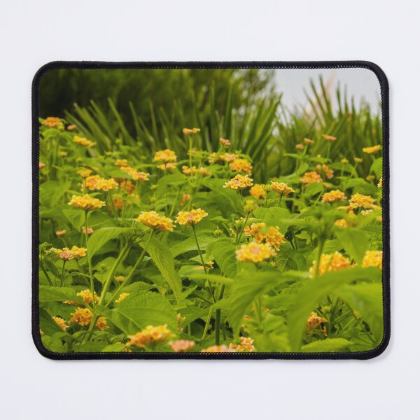 Item preview, Beautiful Yellow Flower Blossoms in a Vibrant Green Garden Landscape designed and sold by Nmallia.